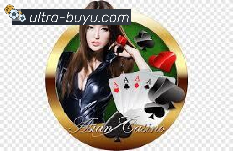 未来规划